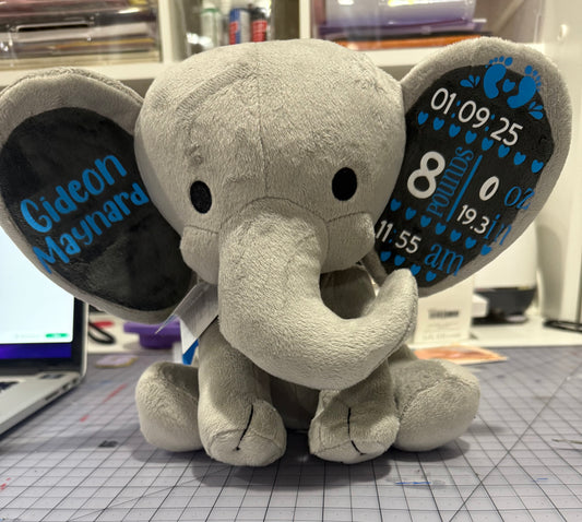 Baby Elephant